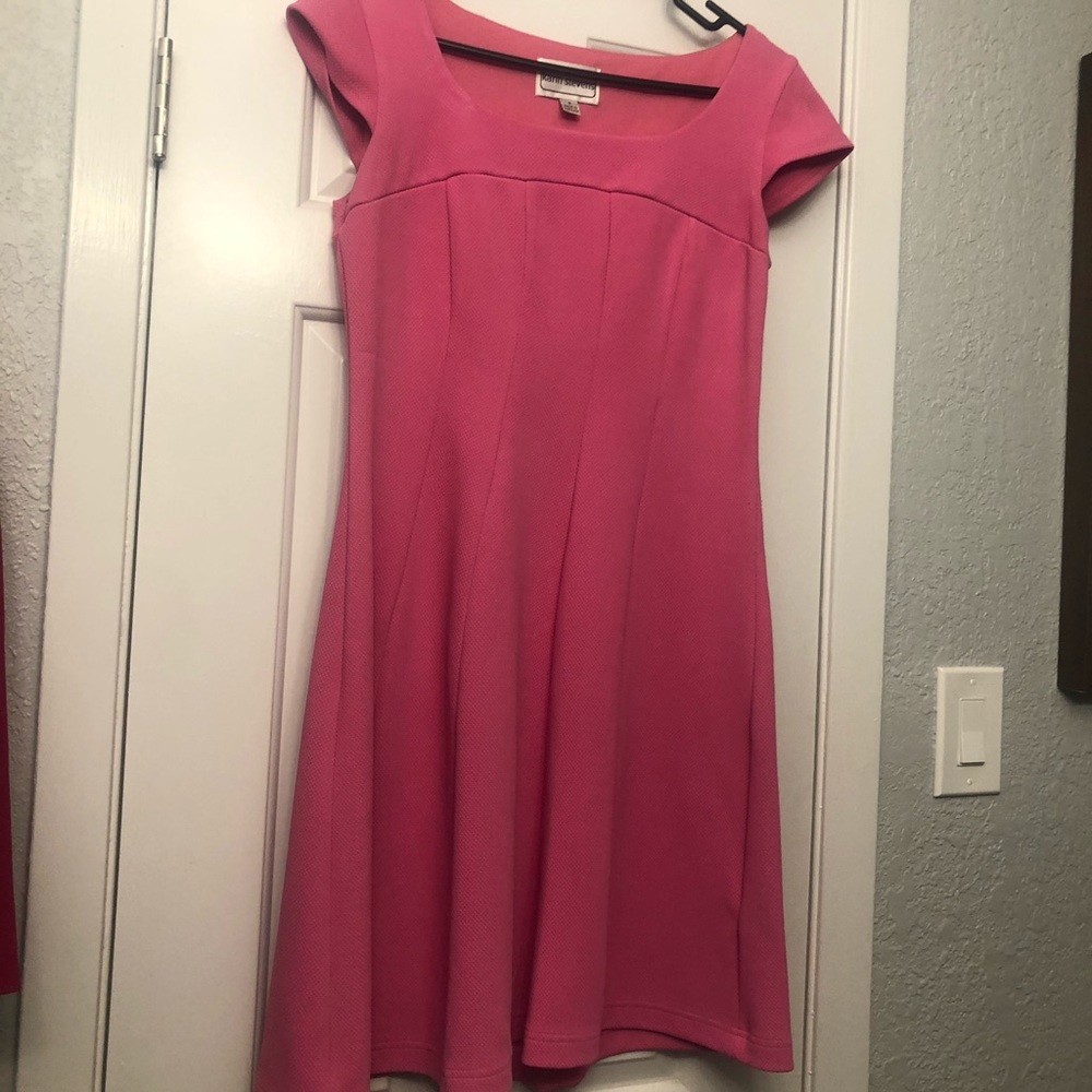 Karin Stevens easy wear dress